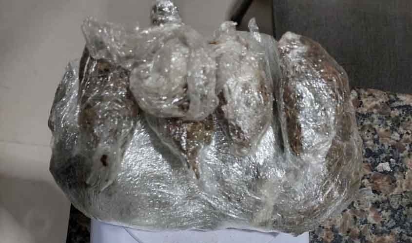 Polícia Militar apreende drogas em residência em Cacoal