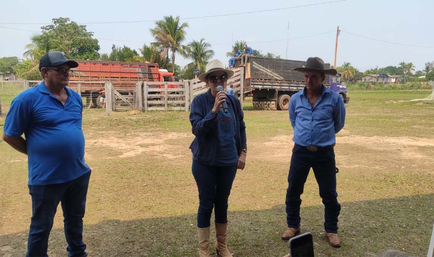 Leilão de gado arrecada recursos para prevenção ao câncer em Rondônia