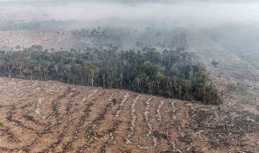 Fogo na Amazônia se concentra em locais onde agronegócio avança