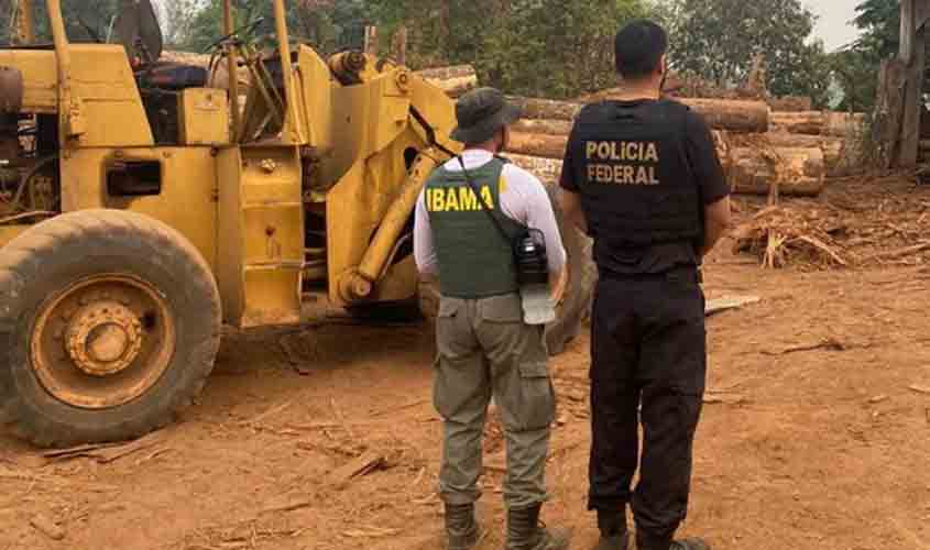 PF deflagra operação contra transporte irregular de madeira em Rondônia