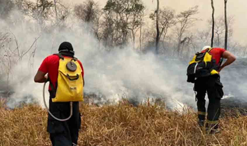 Em ação do MPF, Justiça determina que União libere recursos para contratar brigadistas para Rondônia