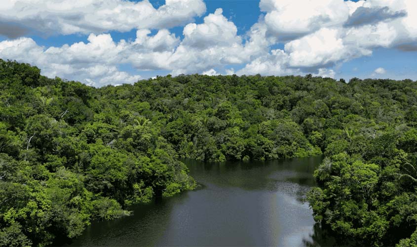 SFB lança edital de concessão florestal para carbono e restauração