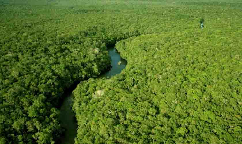 Setor florestal de Rondônia passa por auditoria e recebe recomendações sobre como melhorar sua gestão