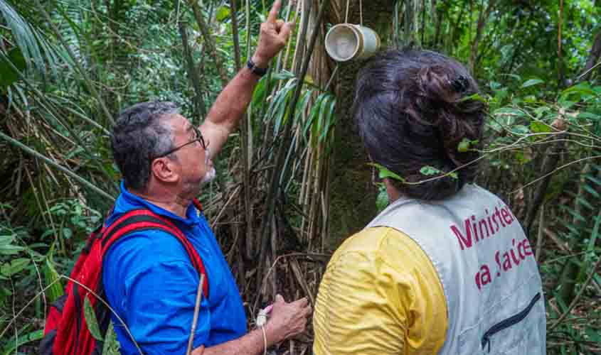 Governo de RO intensifica vigilância e controle da doença de Chagas no estado, com avanços significativos