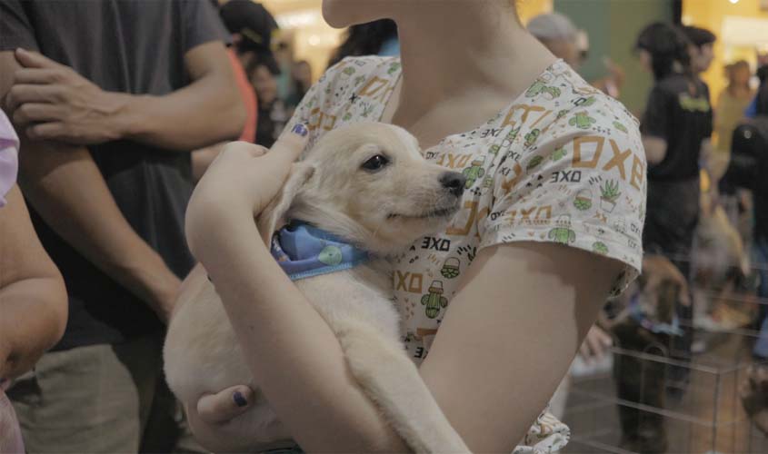 Feira de adoção de cães e gatos ocorre no Porto Velho Shopping neste fim de semana