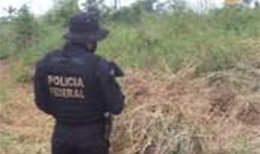 Polícia Federal realiza operação após receber denúncia de invasão de terra