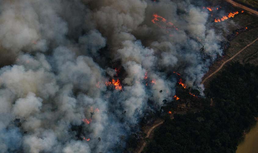 Desmatamento na Amazônia triplica em março e faz trimestre fechar como o 2º pior desde 2008  