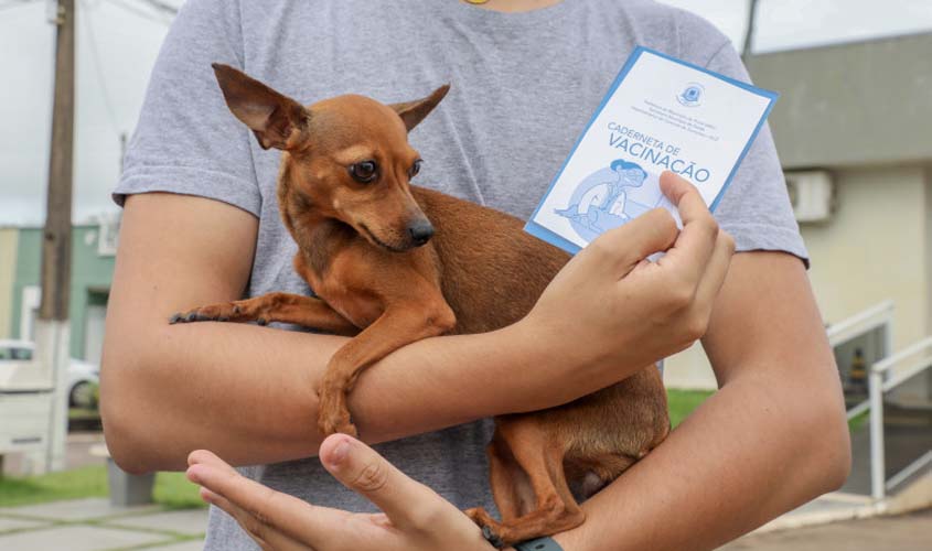 Divisão de controle de Zoonoses atua na prevenção de doenças que animais possam transmitir aos humanos