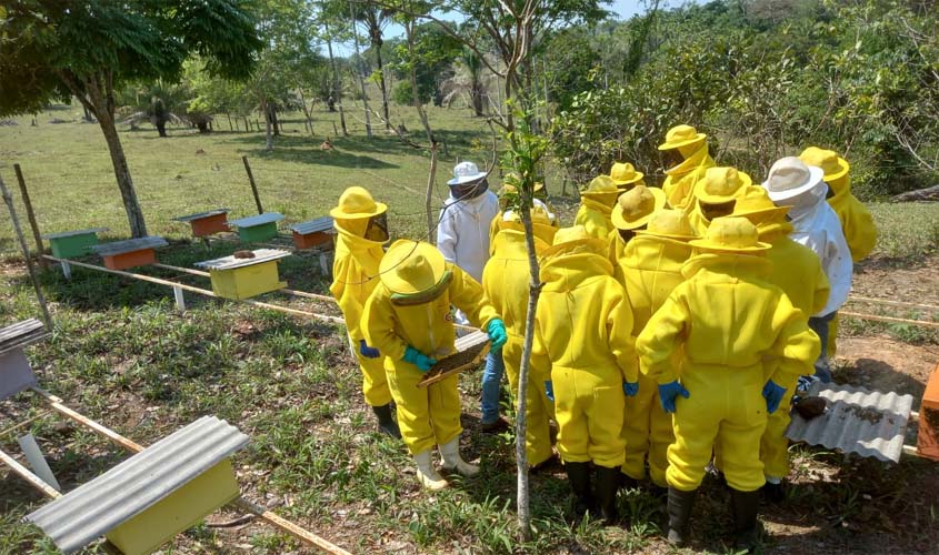 Ação educativa marca o Dia Mundial das Abelhas