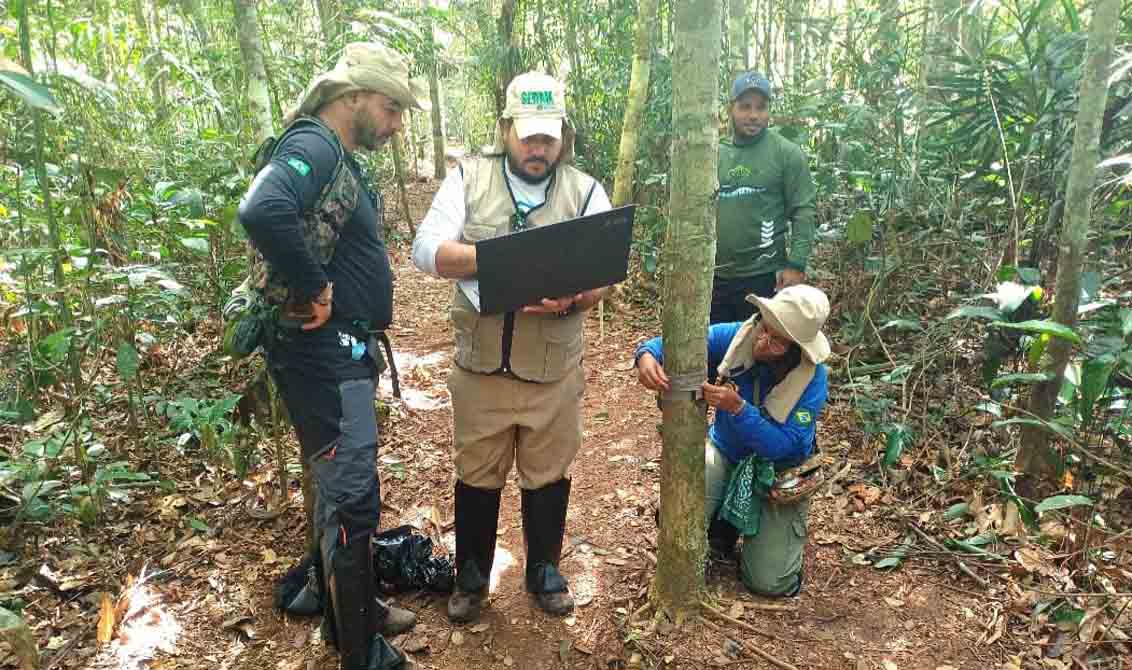 Estratégias de monitoramento do Governo de RO revelam presença de espécie rara em reserva estadual