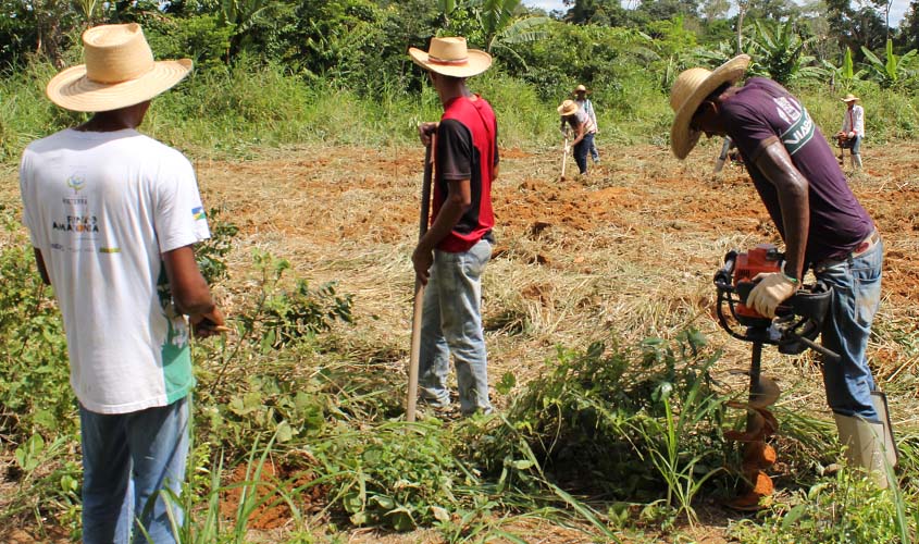 Agricultores familiares de Rondônia receberão apoio para regularização ambiental