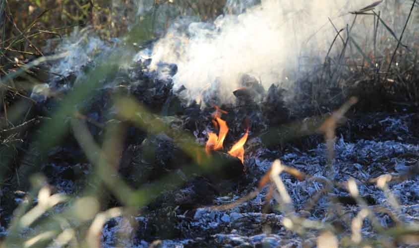 Medidas estratégicas da Prefeitura reduzem as queimadas em quase 85% em Porto Velho