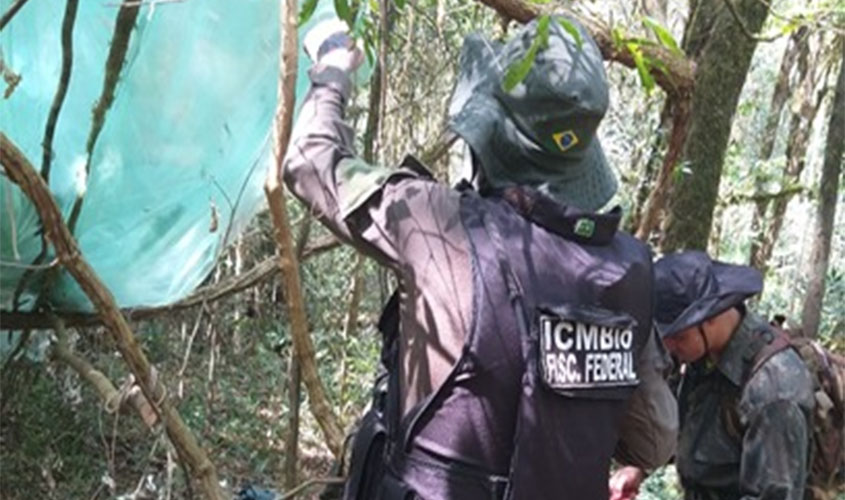 Fiscais flagram acampamento de caça dentro do Iguaçu