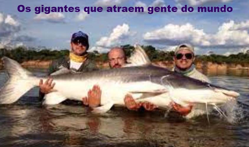 Vinda de mais de mil apaixonados pela pesca esportiva: este tipo de turismo de Rondônia só cresce, mesmo sem estrutura