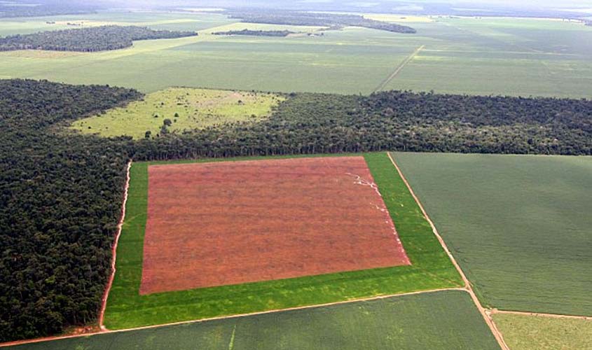 Comissão deve discutir moratória da soja na Amazônia