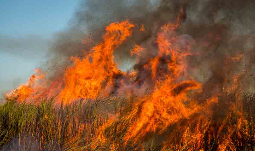 Usina indenizará trabalhador queimado em incêndio em canavial por danos morais e estéticos