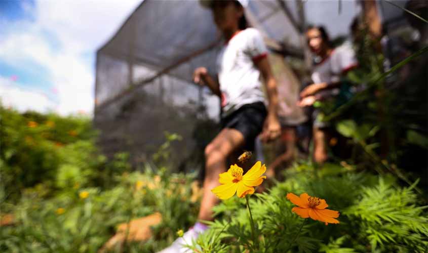 Geração atual tem pouco contato com a natureza, alertam especialistas