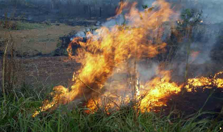 Deputados aprovam mais de R$ 13 milhões para proteção ambiental em Rondônia