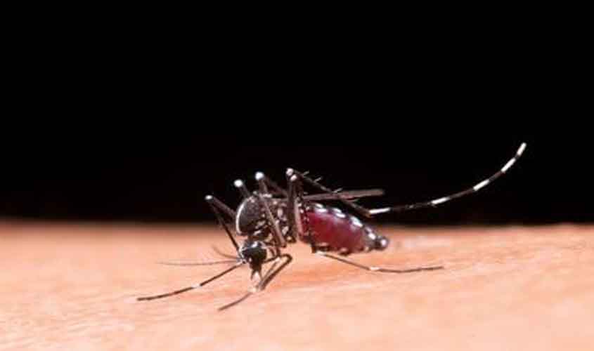 Vacina contra dengue tem eficácia comprovada em adolescentes