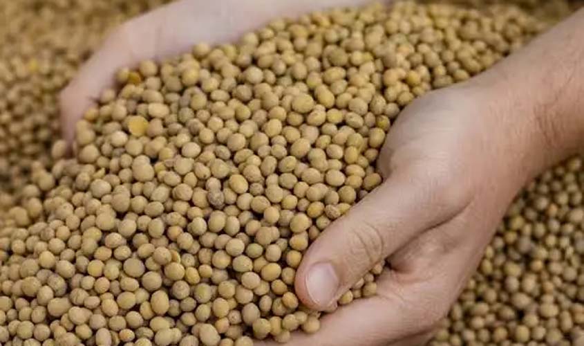 Soja e trigo: saca sobe 1,53% no Paraná para R$ 146,24