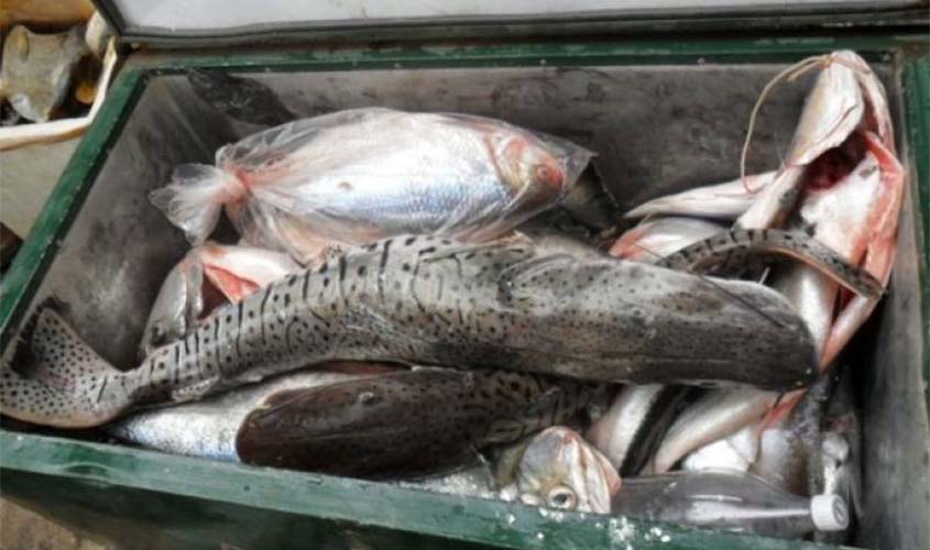 Feirante perde 150 quilos de peixes e denuncia Energisa na polícia por apagão de sete horas