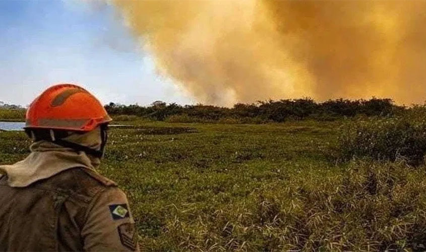 Técnicas de manejo de fogo são chave para combater incêndios no Pantanal