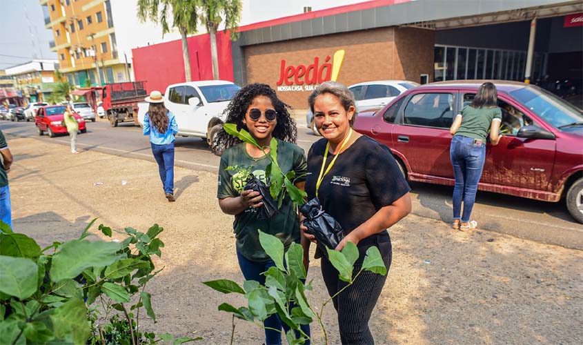 Distribuição de mudas pela equipe da Semeia marca o Dia da Árvore