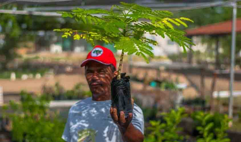  No Dia da Árvore, candidaturas do MST lançam plataforma de propostas em defesa do meio ambiente