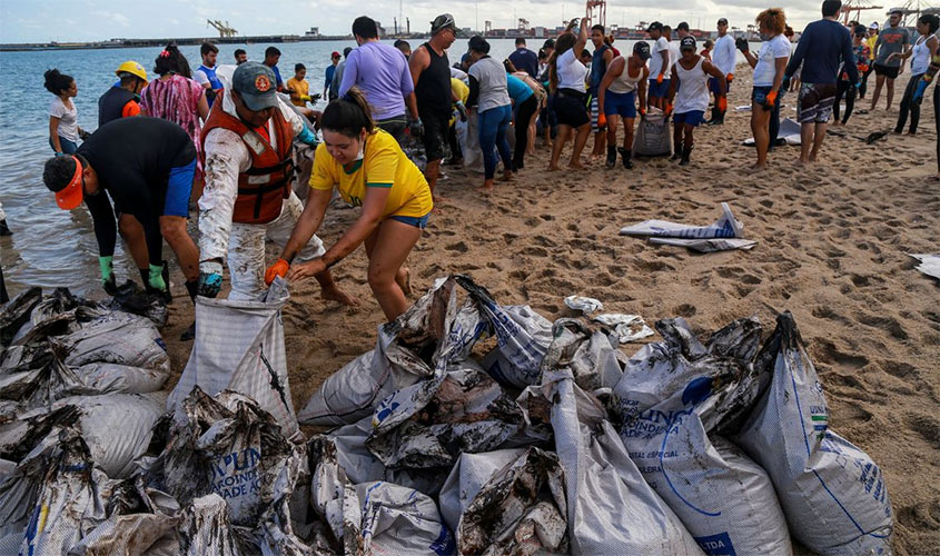 Mais de 525 toneladas de resíduos foram retiradas de praias com óleo