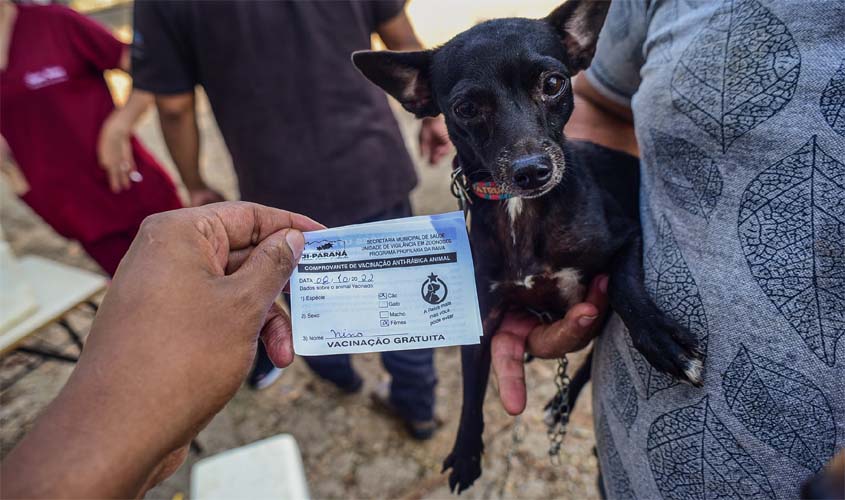 UVZ reforça campanha de vacinação antirrábica em cães e gatos