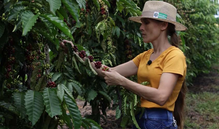 Mulheres produtoras de café de Rondônia estão entre as finalistas em concurso nacional de qualidade