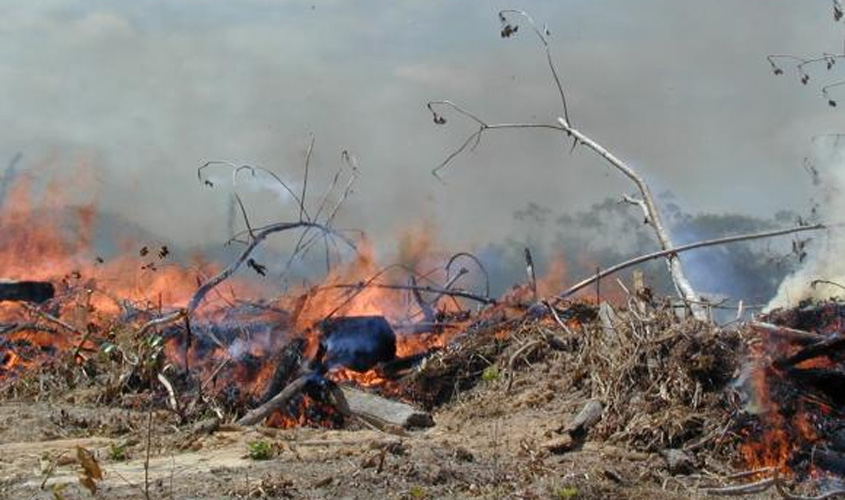 Pesquisadores comprovam que fumaça das queimadas da Amazônia pode causar câncer