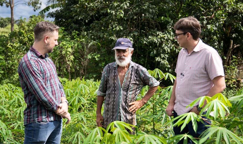 Campo Produtivo incentiva plantio de cacau