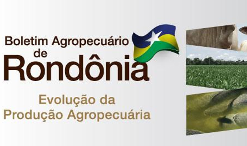 Embrapa lança boletim periódico com dados agropecuários de Rondônia