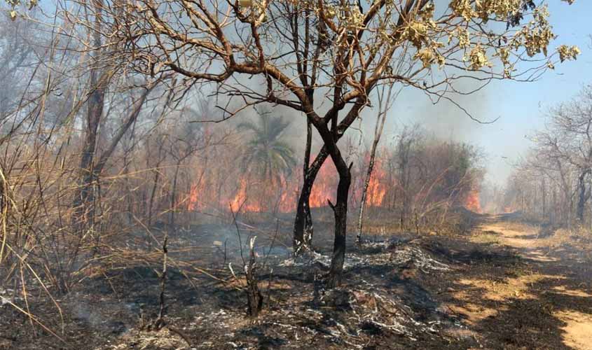 ICMBio terá reforço de brigadistas para combater incêndio florestal