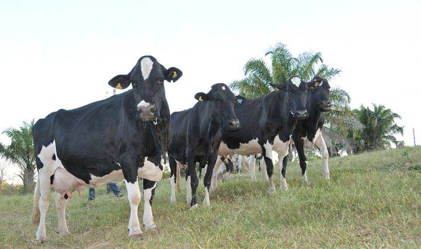 Nova edição da RondoLEITE será realizada na 10ª Rondônia Rural Show Internacional