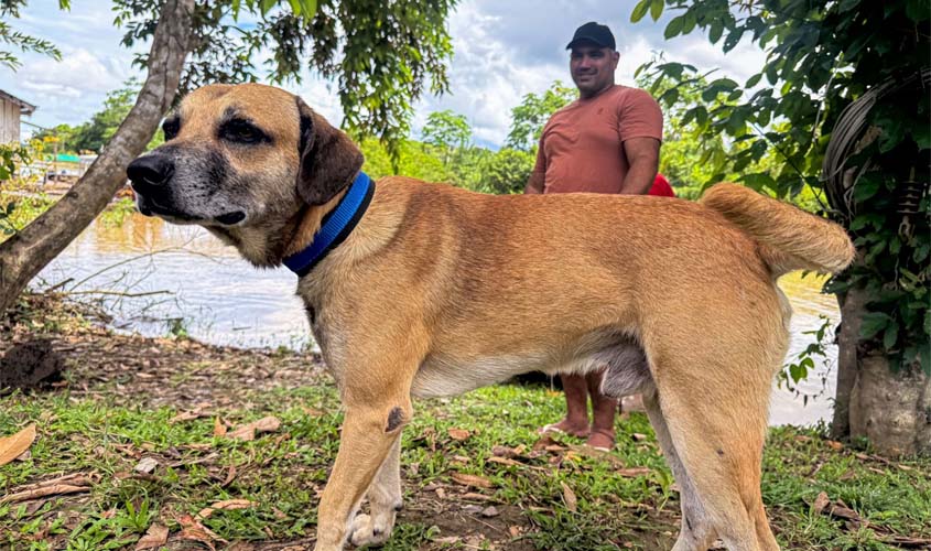 Nazaré vira exemplo de cuidado animal