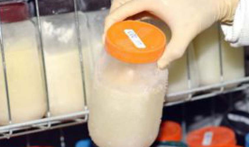 Em Rondônia, mais de 14 mil litros de leite humano foram coletados nos últimos anos. Conheça a nova campanha nacional