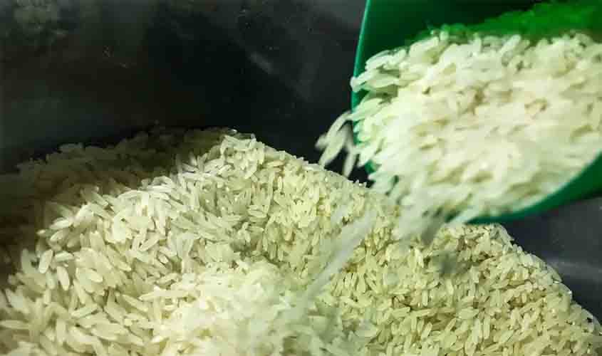 Arroz: Camex zera taxa de importação para garantir abastecimento