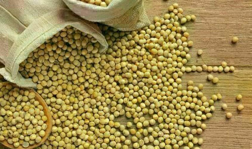 Preço da soja tem aumento nesta terça-feira (22)