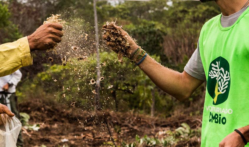 CBC firma parceria com instituições para restauração ecológica em unidades de conservação