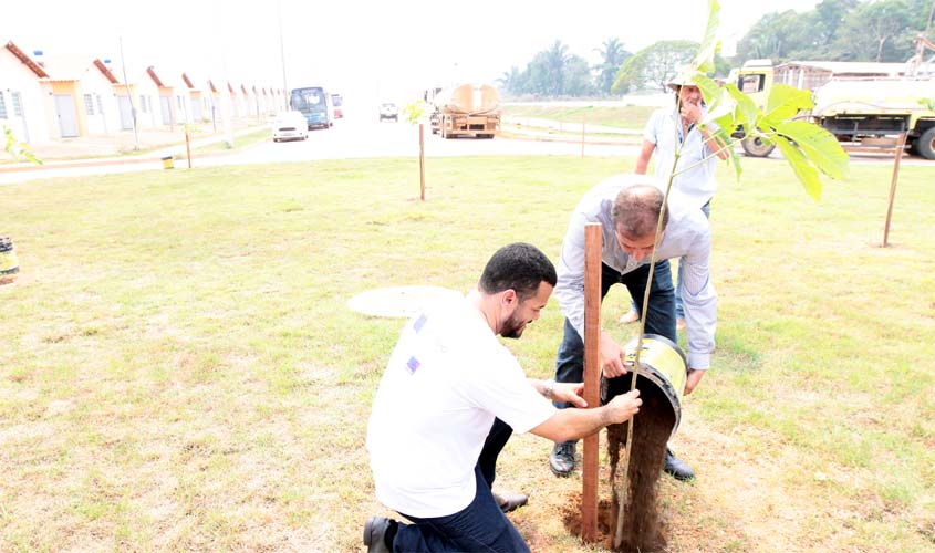 Prefeitura de Porto Velho lança o maior programa de arborização da região