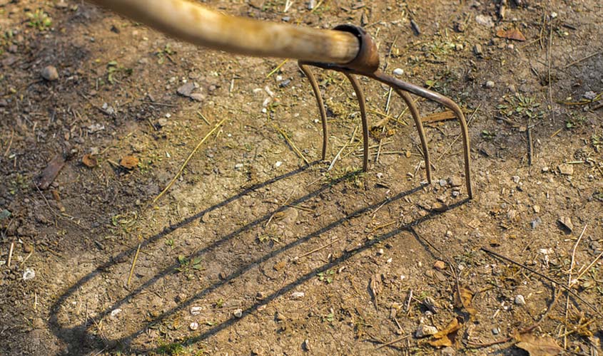 Trabalhador rural receberá horas extras por falta de pausas contra o calor