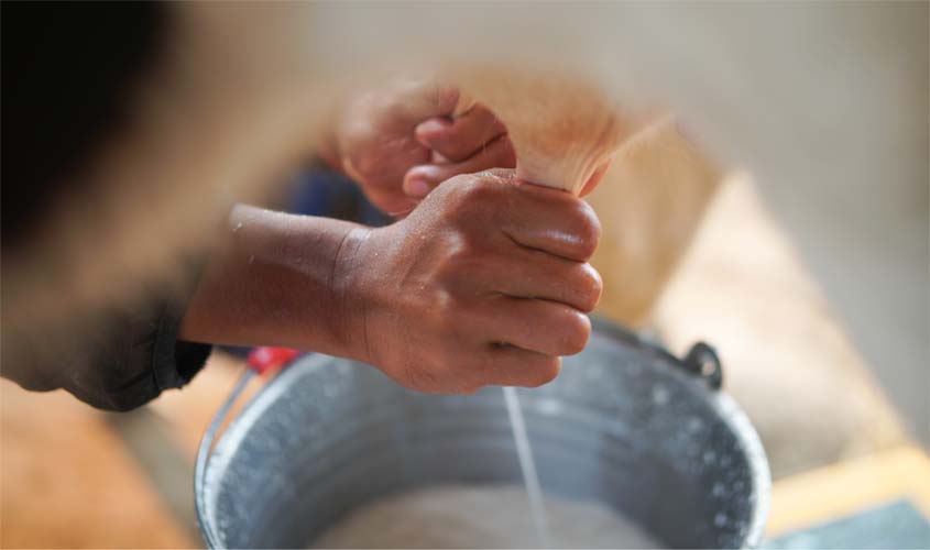 APRON e FAPERON discutem Plano do Leite em Rondônia