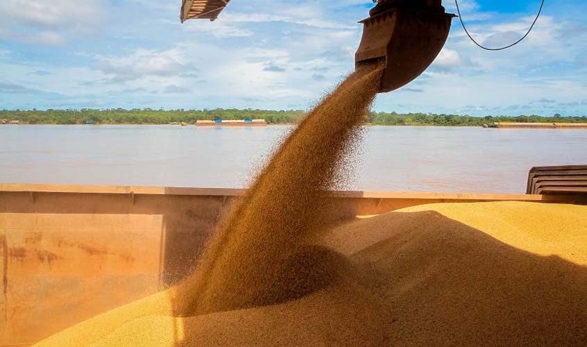 Agronegócio avançou com investimentos do Governo de Rondônia em ações neste ano