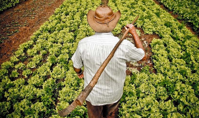 CMN aumenta teto de financiamento para produtores de baixa renda comprarem terra