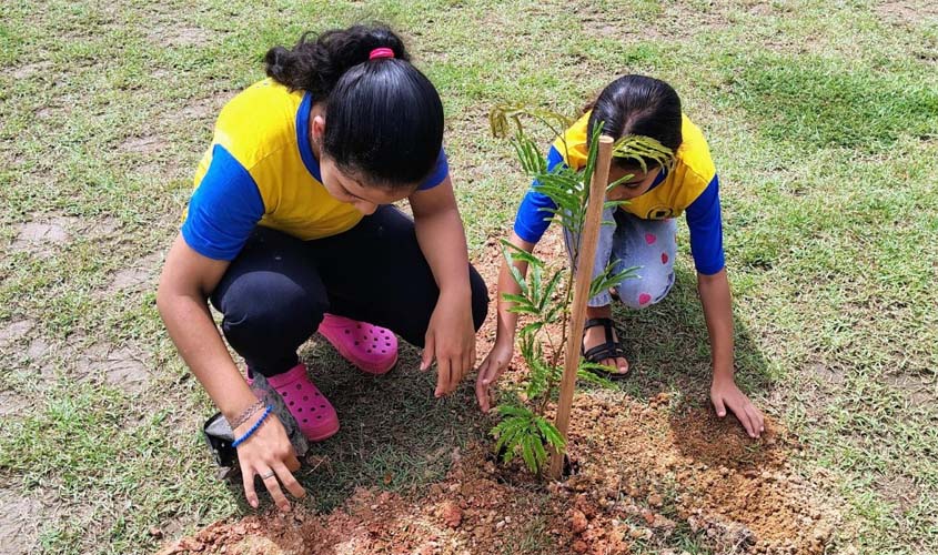 Plantio de árvores é feito na Praça da Juventude
