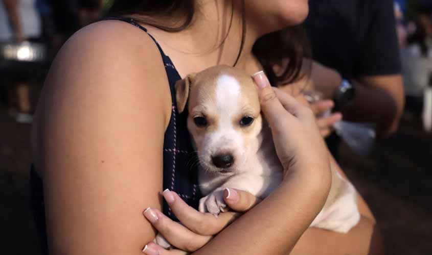 Feira de adoção de cães e gatos acontece no próximo sábado (25)