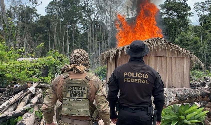 PF deflagra operação para combater crimes ambientais na Terra Indígena Igarapé Lage em Rondônia