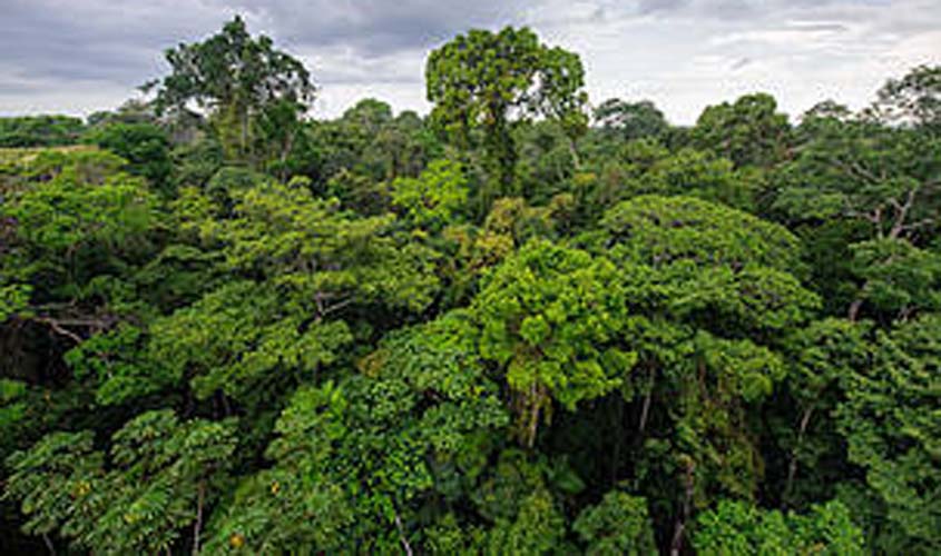 Código Florestal Brasileiro completa dez anos com semana de debates